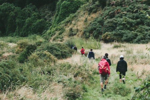 People hiking in the wilderness